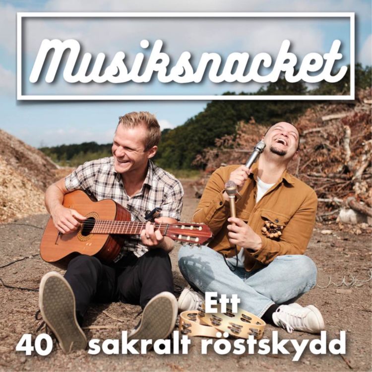 cover art for 40. Ett sakralt röstskydd