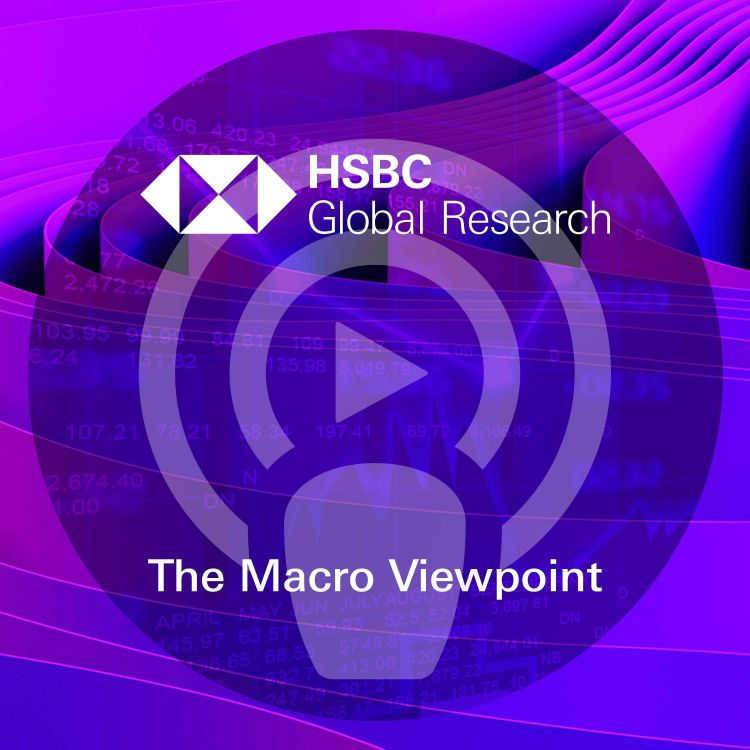 cover art for The Macro Viewpoint - ECB hawks take control, EM Sentiment Survey, USD outlook