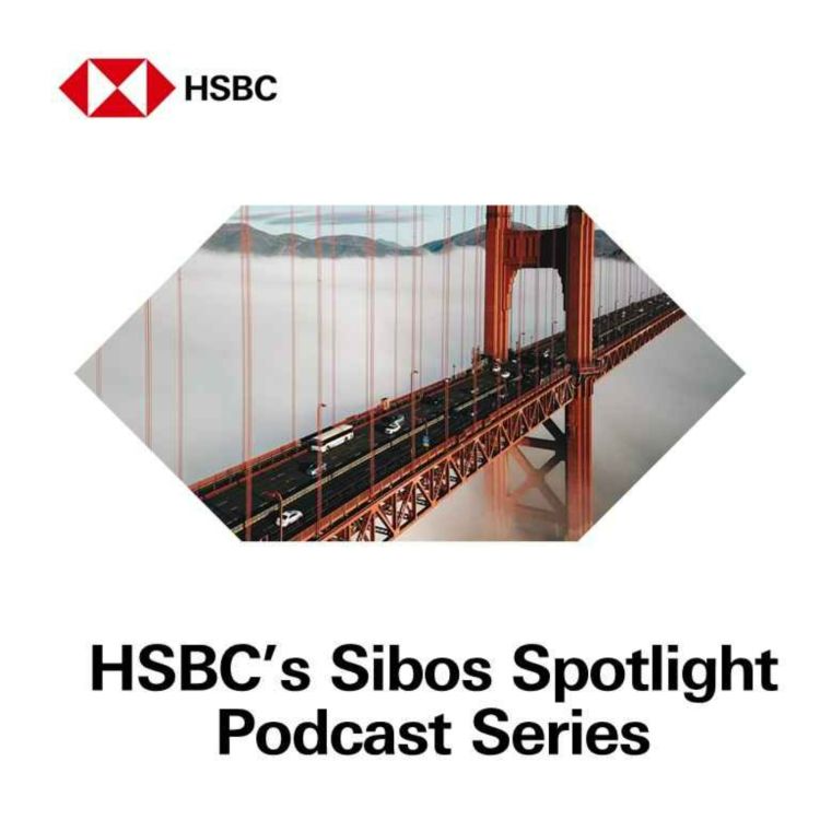 cover art for HSBC’s Sibos Spotlight: The Future of Custody – Discovering the MarketSpace ecosystem