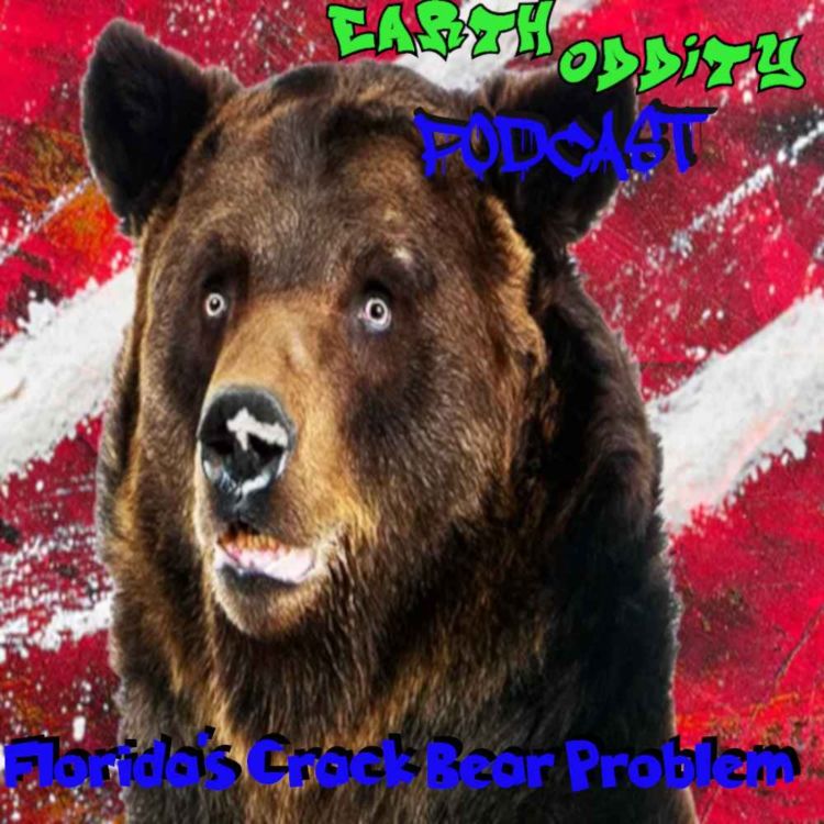 cover art for Earth Oddity 303: Florida's Crack Bear Problem