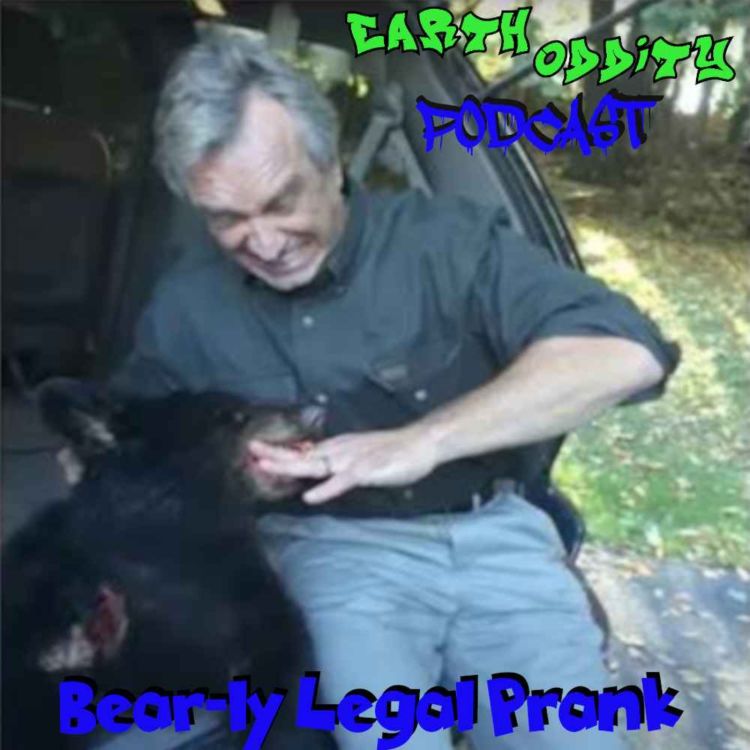 cover art for Earth Oddity 307: Bear-ly Legal Prank