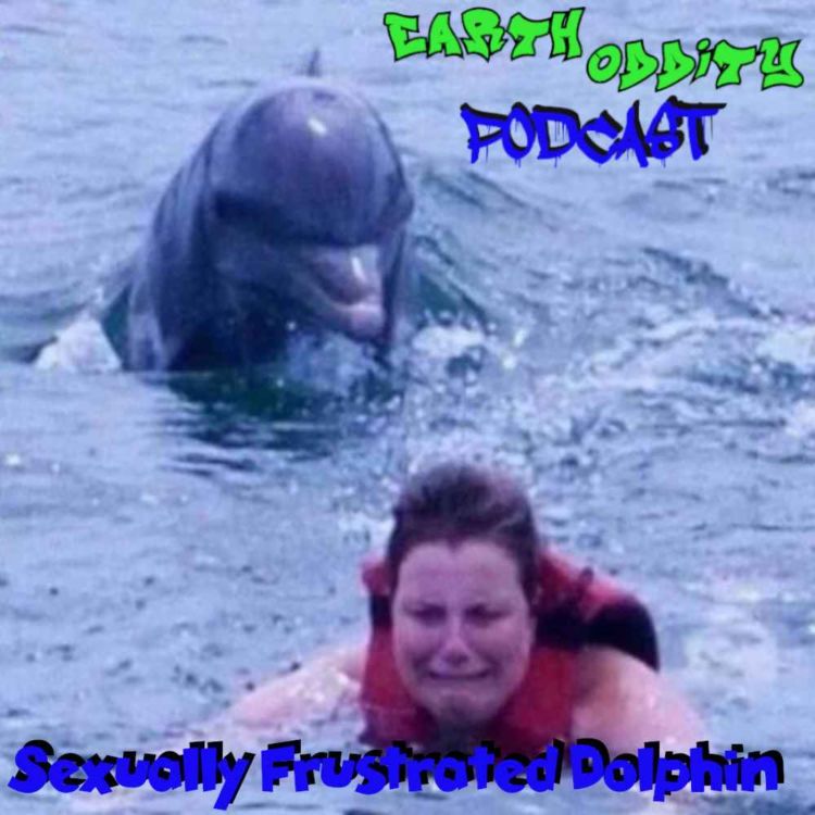 cover art for Earth Oddity 309: Sexually Frustrated Dolphin