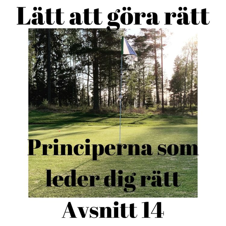 cover art for Principerna som leder dig rätt