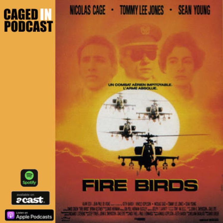 cover art for Caged In 13: Fire Birds/Wings Of The Apache (1990)