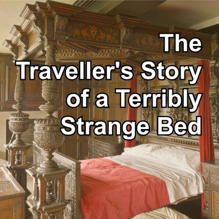 cover art for The Traveller's Story of a Terribly Strange Bed