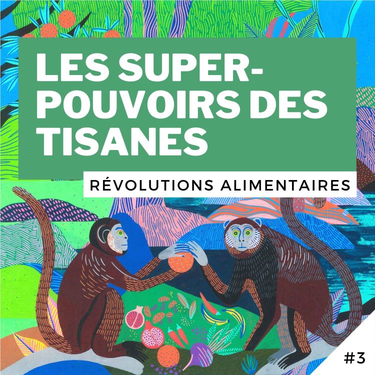 cover art for #3 - Les super-pouvoirs des tisanes