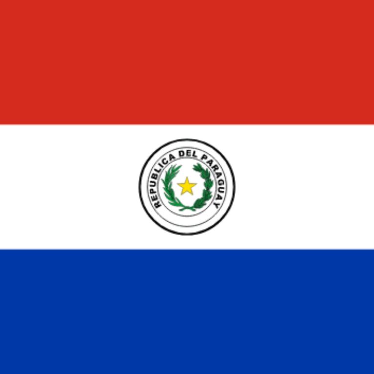 cover art for Allmänna val i Paraguay
