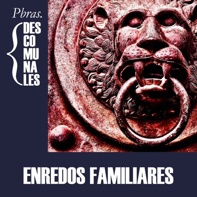 cover art for Enredos familiares (Cantar de mio Cid parte 3)