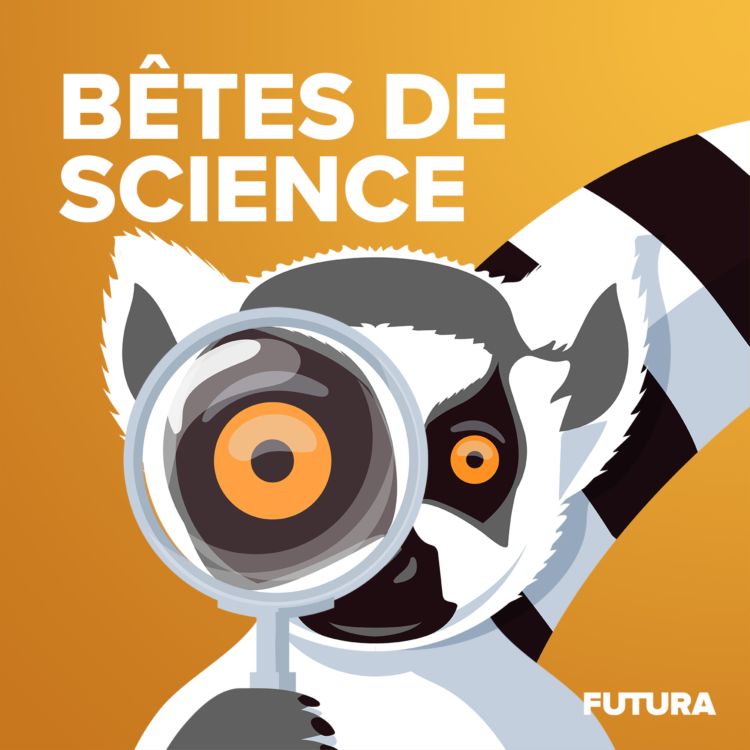 Le Rat Taupe Nu Cet Etonnant Polyglotte Betes De Science Podcast Avec Acast