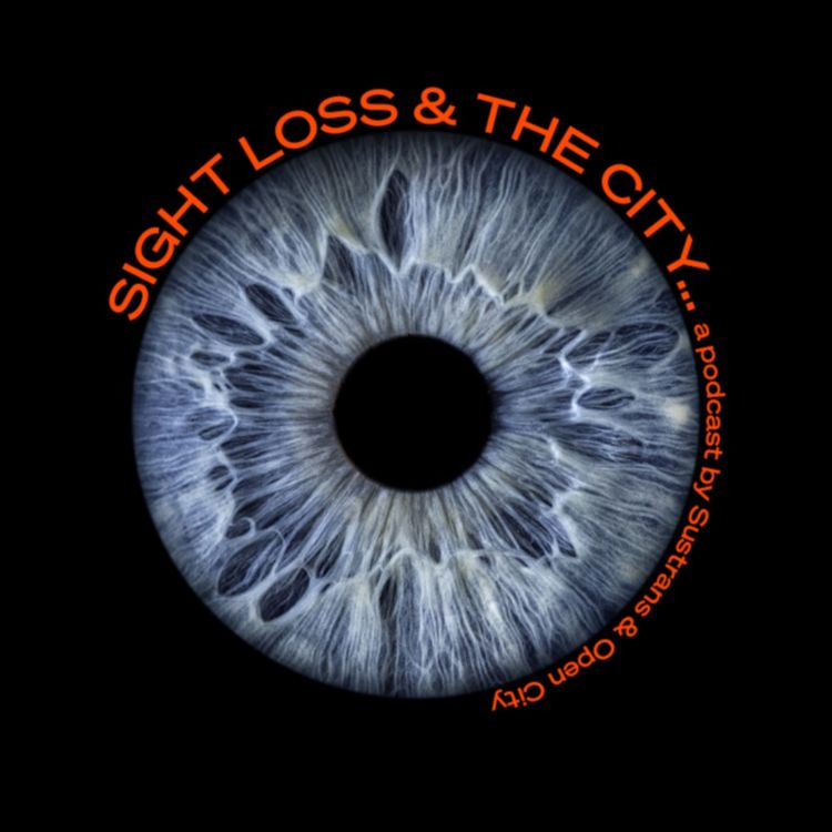 cover art for Sight loss and the city