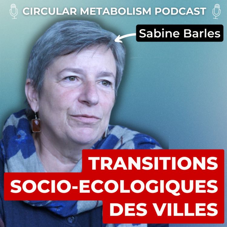 cover art for Métabolisme Urbain - Comprendre les Transitions Socio-Ecologiques des Villes (Podcast Sabine Barles)