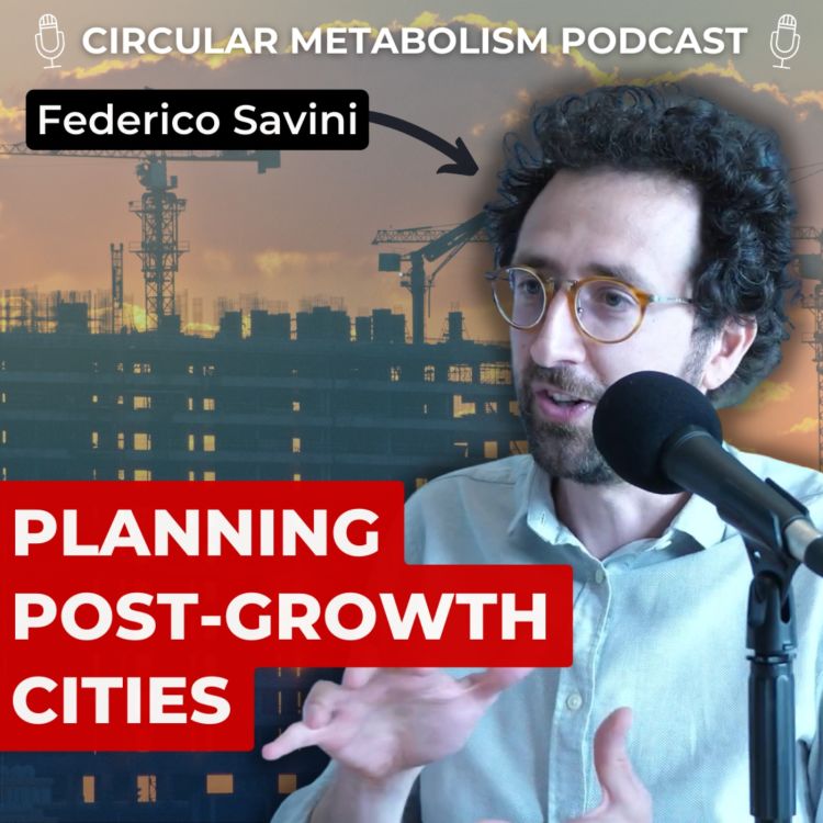 cover art for Planning for Post-Growth Cities (Federico Savini)