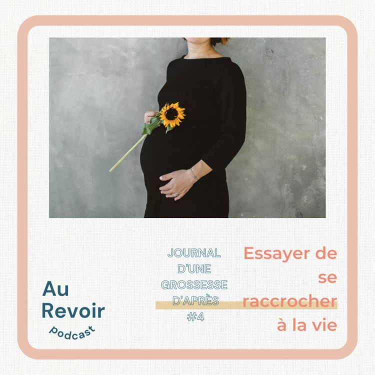 cover art for Journal d'une grossesse d'après #4 : Essayer de se raccrocher à la vie