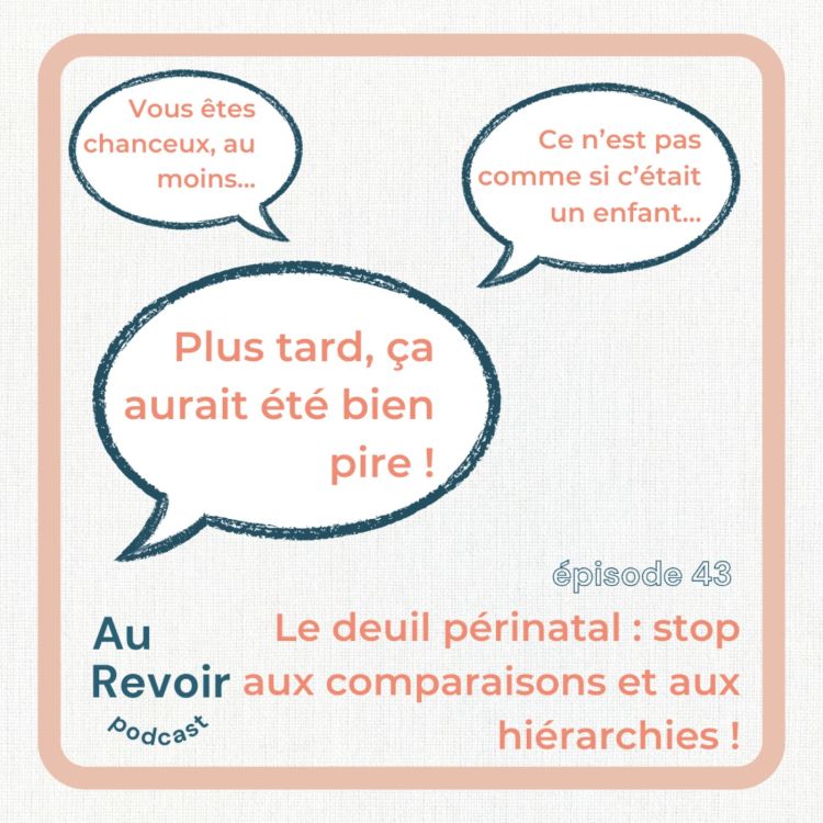 cover art for Le deuil périnatal : stop aux comparaisons et aux hiérarchies ! 