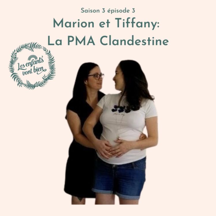 cover art for Marion et Tiffany: La PMA Clandestine