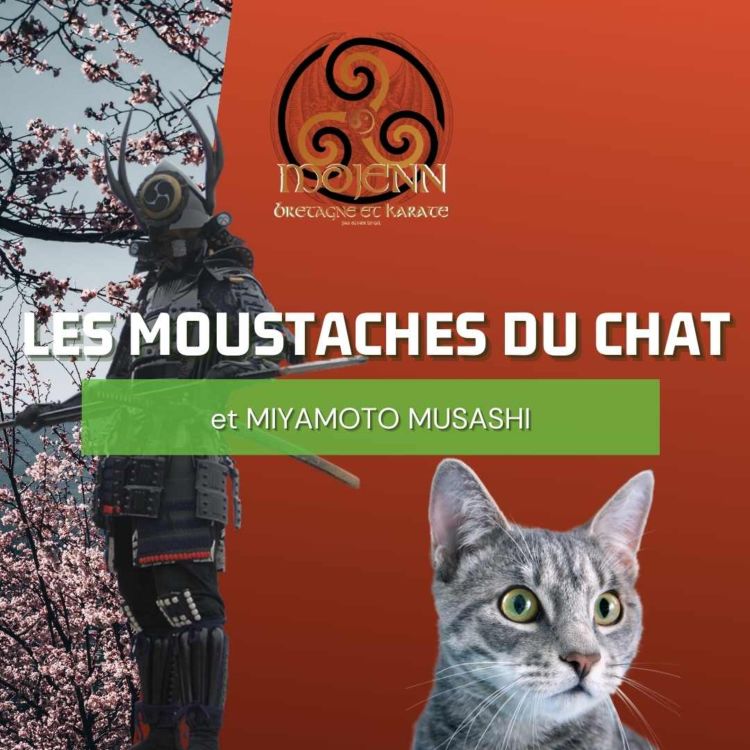 Podcast Les Moustaches Du Chat Musashi Mojenn Par Olivier Le Gal Lecture Mp3 Podcast Avec Acast