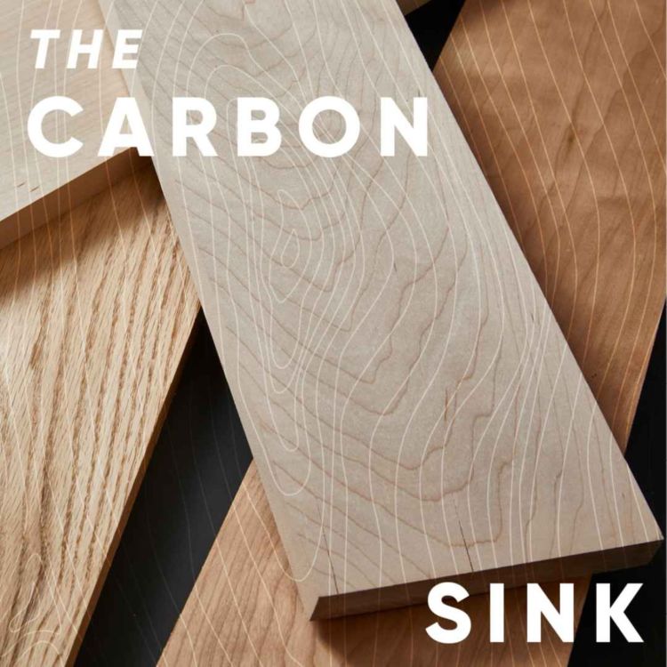 cover art for S1E2: The Carbon Sink with guests Andrew Waugh, Galina Churkina and Sean Sutcliffe