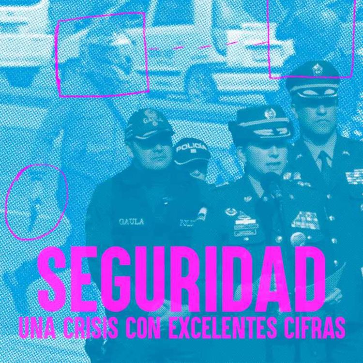 cover art for ¿Ola de inseguridad?