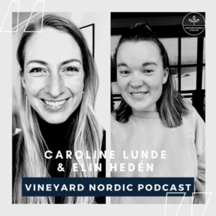 cover art for Vineyard Nordic Youth movement with Caroline and Elin