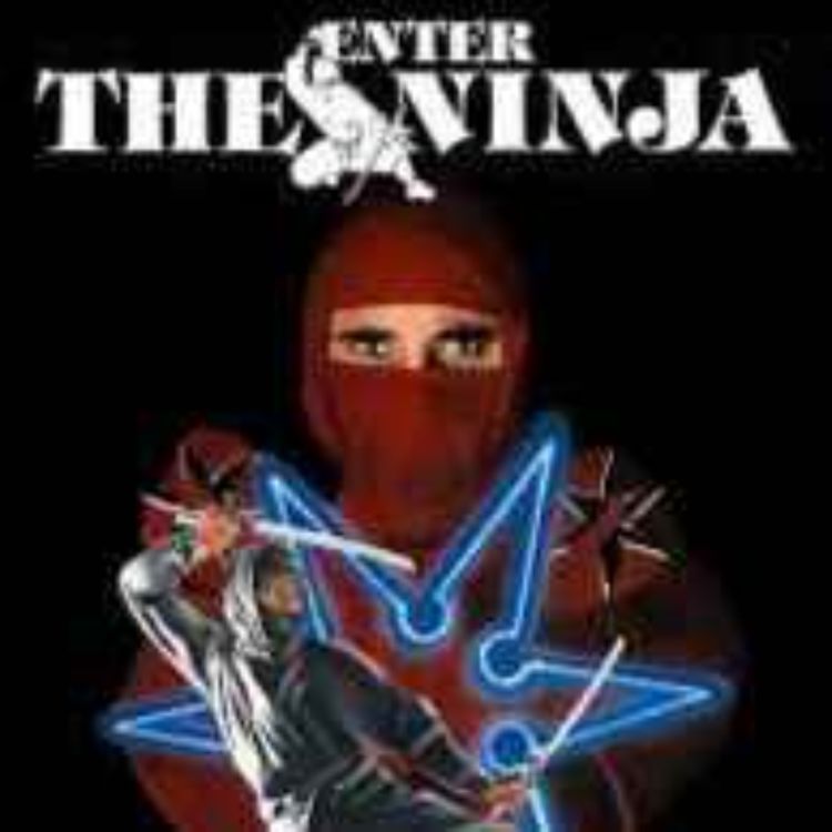 enter the ninja 2