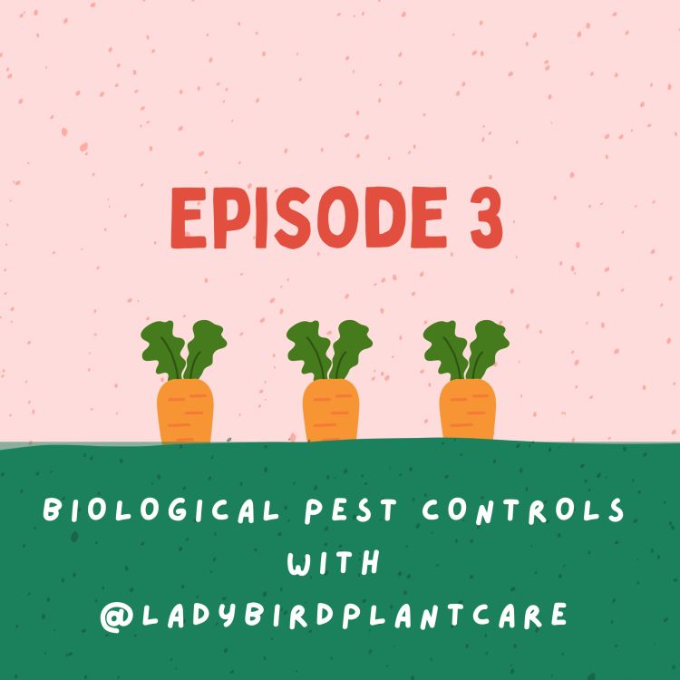 cover art for Biological pest controls with Tessa from @ladybirdplantcare