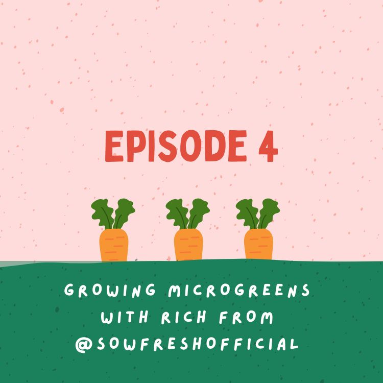 cover art for Growing microgreens with Rich from @sowfreshofficial