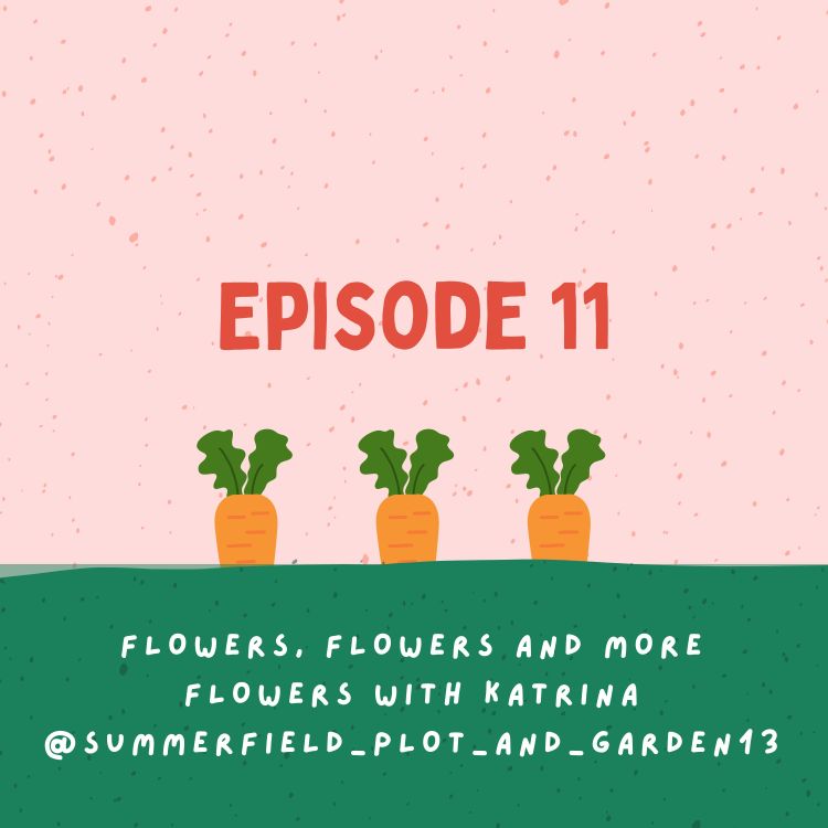 cover art for Flowers, flowers and more flowers with Katrina @summerfield_plot_and_garden_13