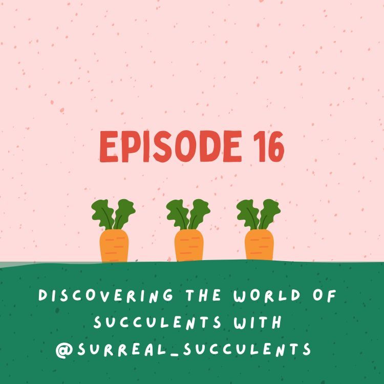 cover art for Discovering the world of succulents with @surreal_succulents 