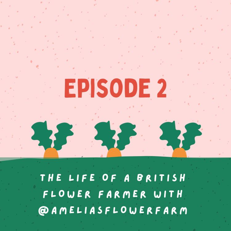 cover art for The life of a British flower farmer with @ameliasflowerfarm