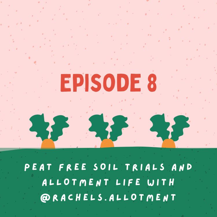 cover art for Peat free soil trials and allotment life with @rachels.allotment