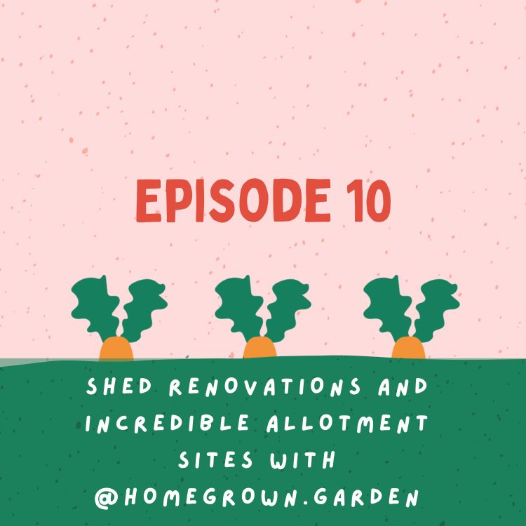 cover art for Shed renovations and incredible allotment sites with @homegrown.garden