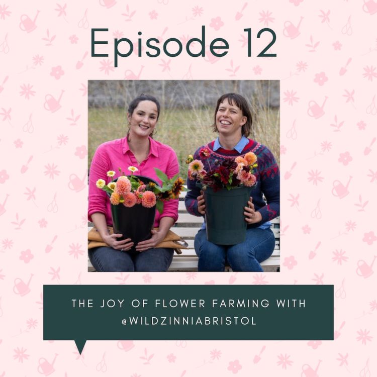 cover art for The joy of flower farming with @wildzinniabristol