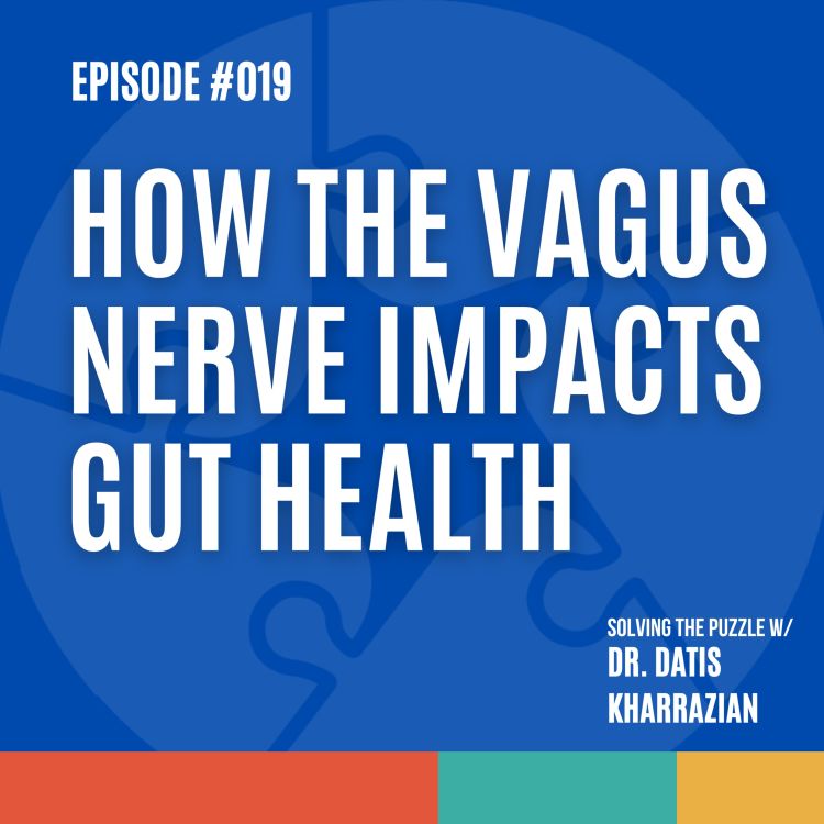 cover art for Episode 19: The vagus nerve and gut health