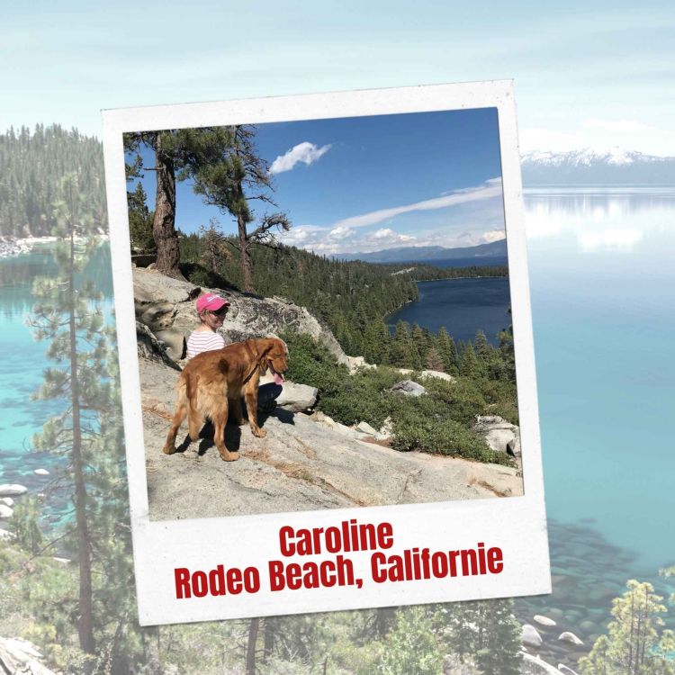 cover art for Caroline : Une carte postale sonore de la Silicon Valley (Californie)