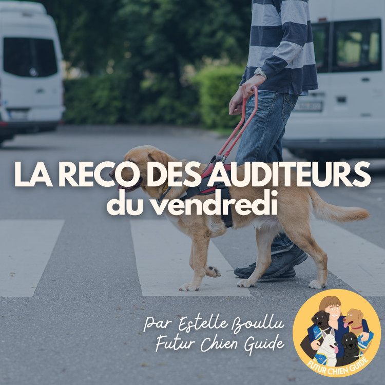 cover art for La Reco des Auditeurices : Futur Chien Guide