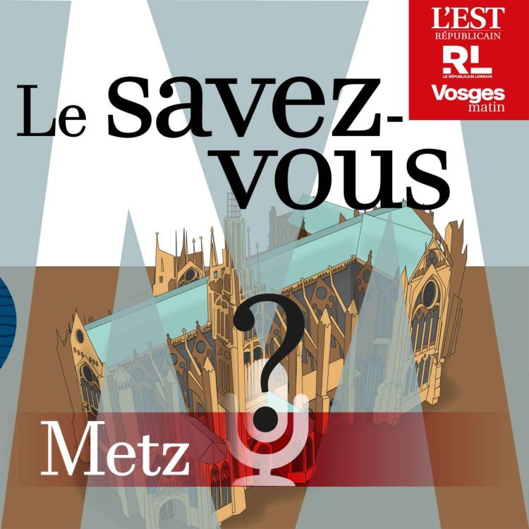 cover art for Savez-vous qu'au sommet de la tour de Drince, on peut voir à 80 km par temps clair ?