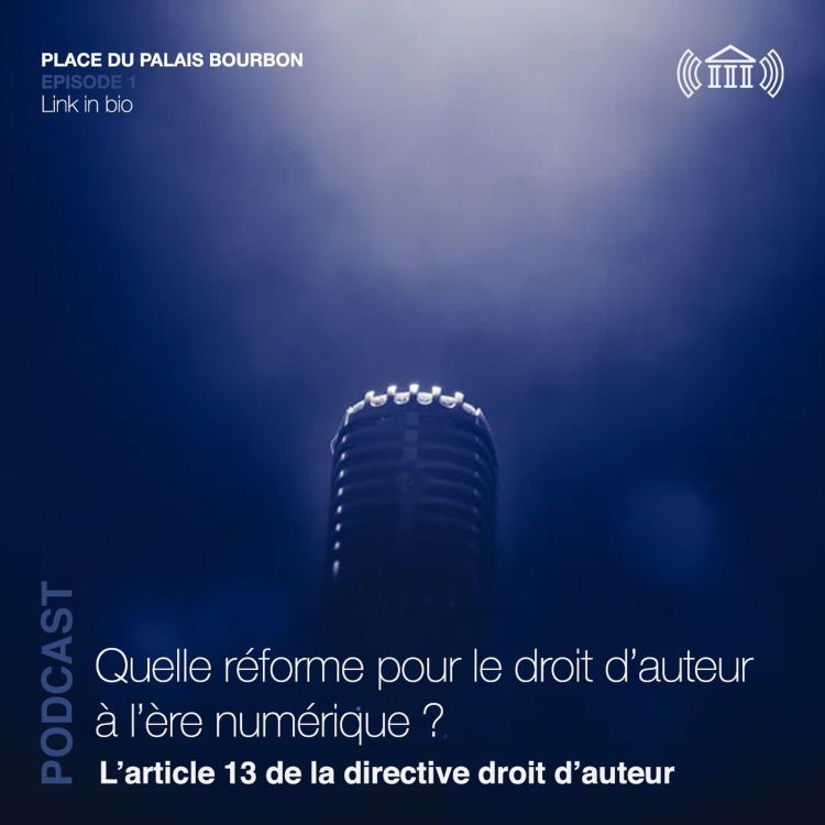 cover art for Place Du Palais Bourbon - Article 13 Directive Copyright