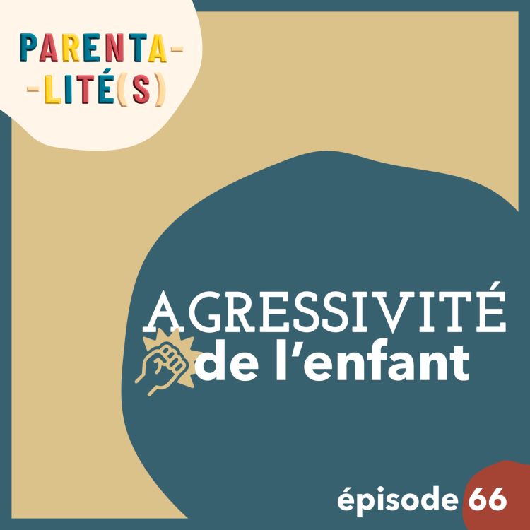 cover art for L'agressivité chez l'enfant