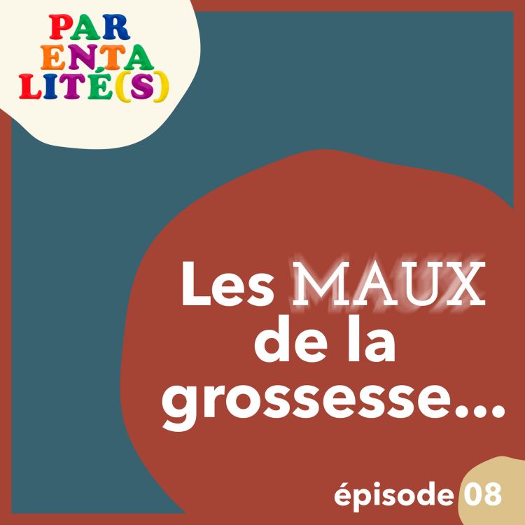 cover art for Les maux de la grossesse, ce que l'on ne dit pas.