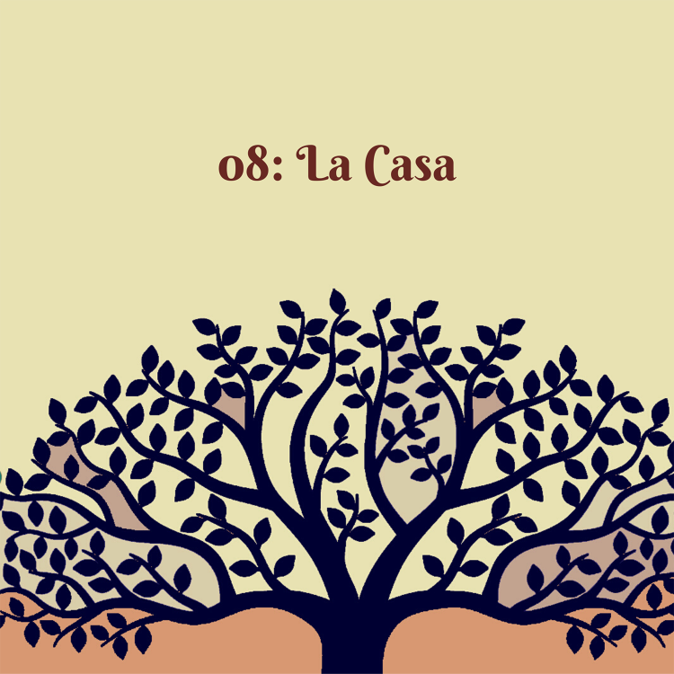 cover art for 08: La Casa