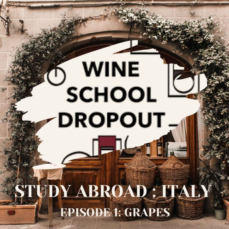 cover art for WSD Study Abroad: Italian Grapes