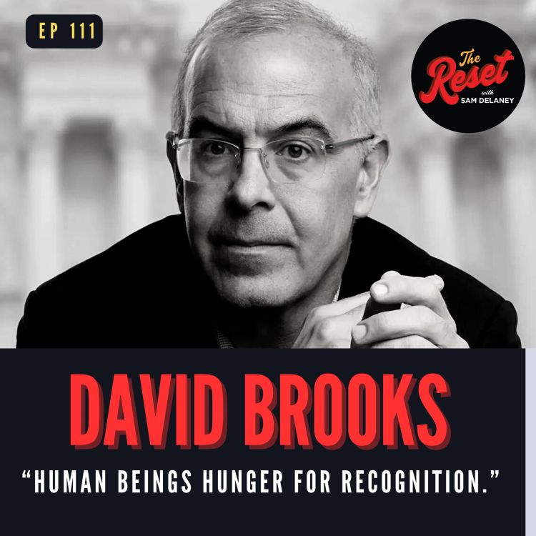 cover art for David Brooks