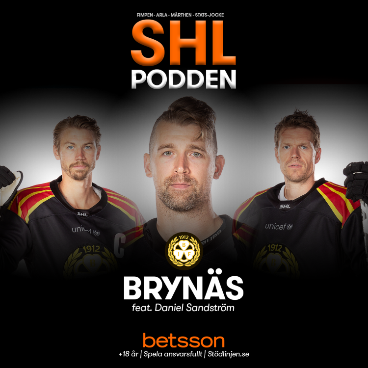 cover art for Inför SHL 2020/21: BRYNÄS