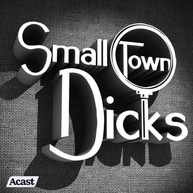 cover art for Small Town Dicks Returns Sept. 20