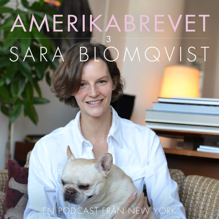 cover art for Sara Blomqvist