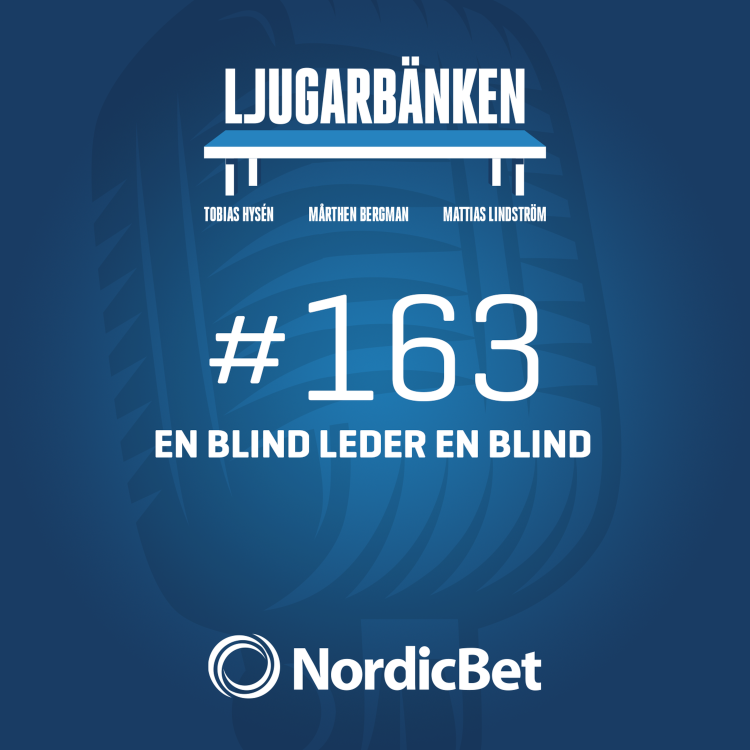 cover art for 163. En blind leder en blind