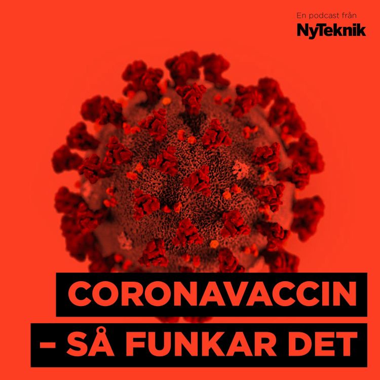 cover art for #32 - SPECIAL: Allt du behöver veta om coronavaccin - Ny Teknisk experter reder ut och berättar.