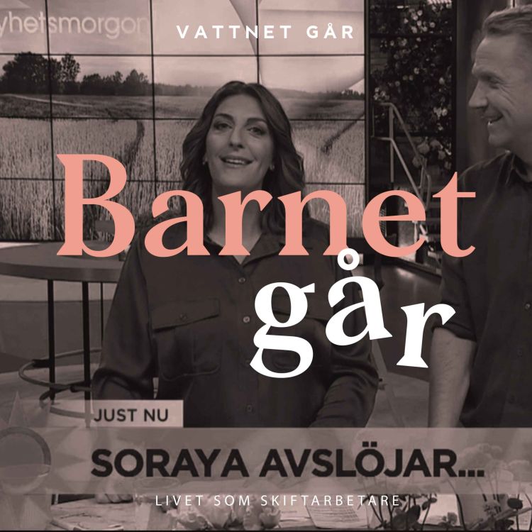 cover art for 371. BG Soraya Lavasani "Vi går om varandra helt"