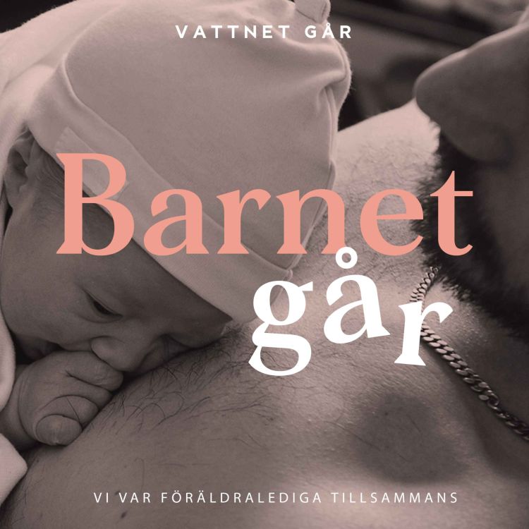 cover art for 383. BG Janine Ritari "Vi var hemma tillsammans i flera månader"