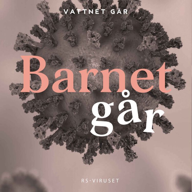 cover art for 527. Barnet Går - RS-virus, så skyddar du er (Repris)